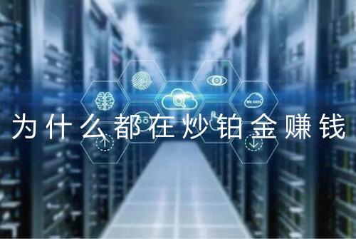为什么都在炒铂金赚钱