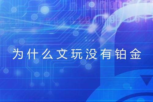 为什么文玩没有铂金