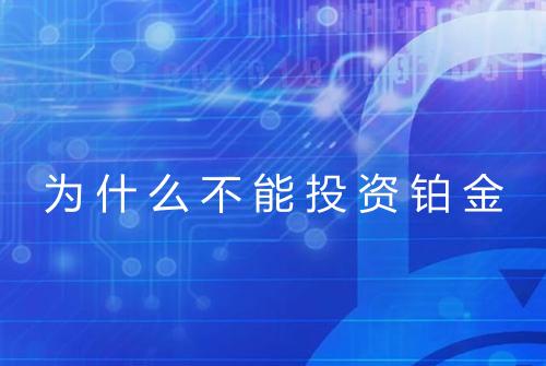 为什么不能投资铂金