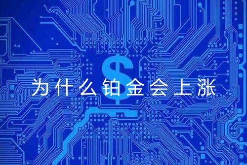 为什么铂金会上涨