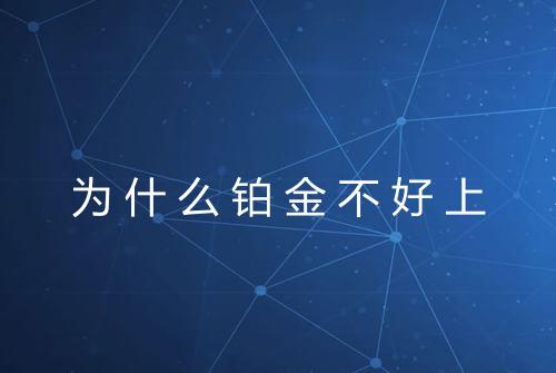 为什么铂金不好上