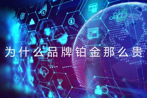 为什么品牌铂金那么贵