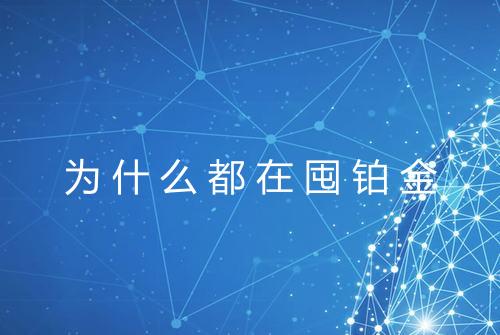 为什么都在囤铂金