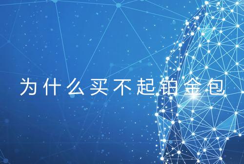 为什么买不起铂金包
