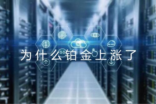 为什么铂金上涨了
