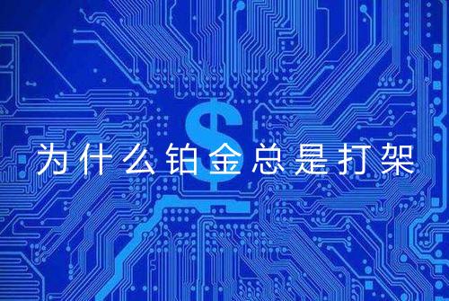 为什么铂金总是打架