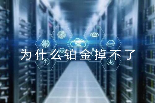 为什么铂金掉不了
