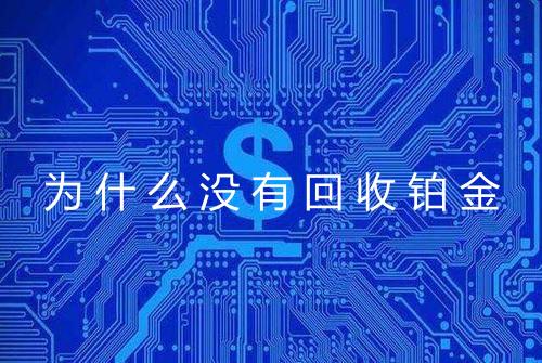 为什么没有回收铂金