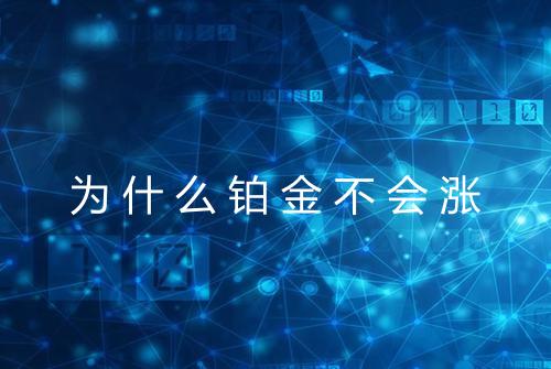 为什么铂金不会涨
