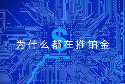为什么都在推铂金