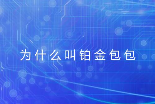 为什么叫铂金包包