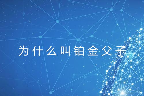 为什么叫铂金父子