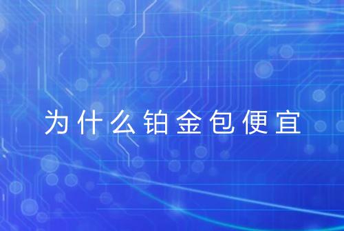 为什么铂金包便宜