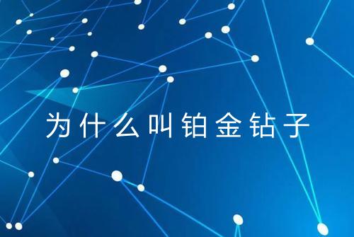 为什么叫铂金钻子