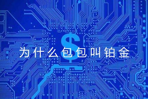 为什么包包叫铂金