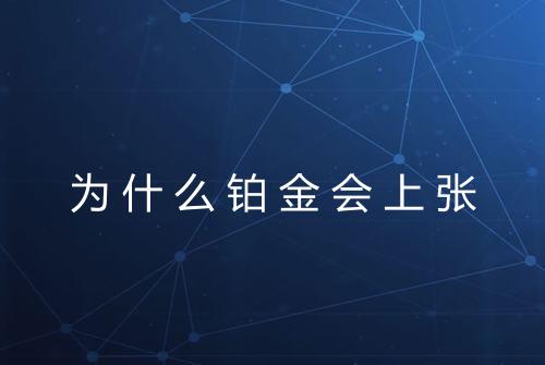 为什么铂金会上张