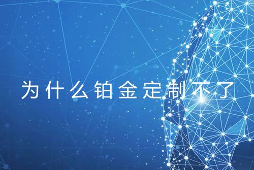 为什么铂金定制不了