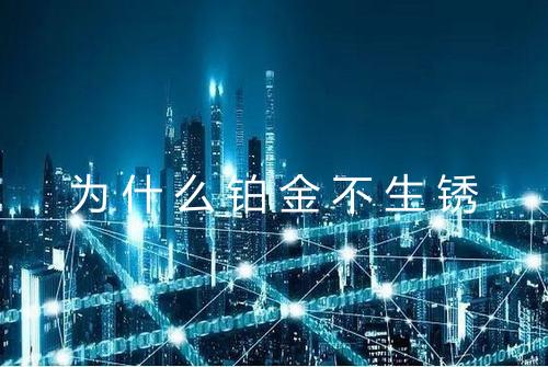 为什么铂金不生锈