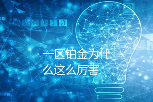 一区铂金为什么这么厉害