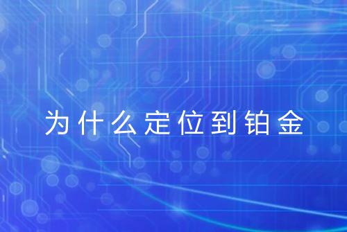 为什么定位到铂金