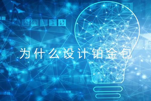 为什么设计铂金包