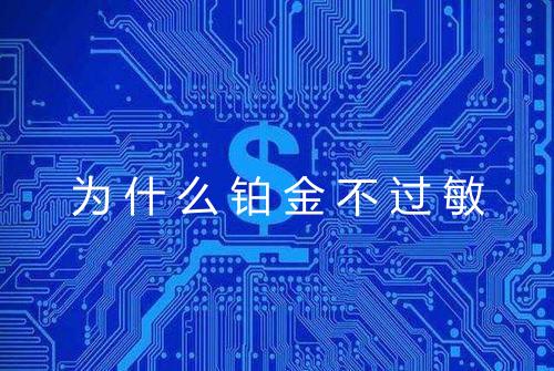 为什么铂金不过敏
