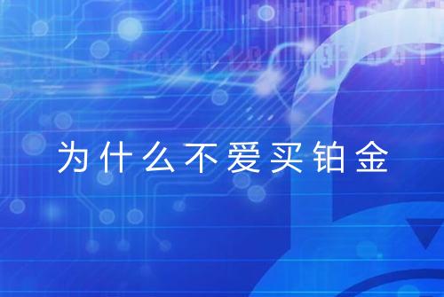 为什么不爱买铂金