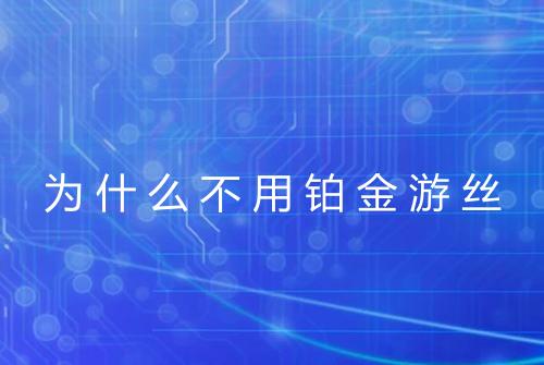 为什么不用铂金游丝