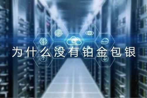 为什么没有铂金包银