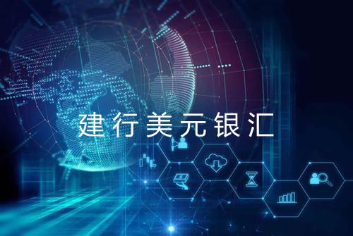 建行美元银汇