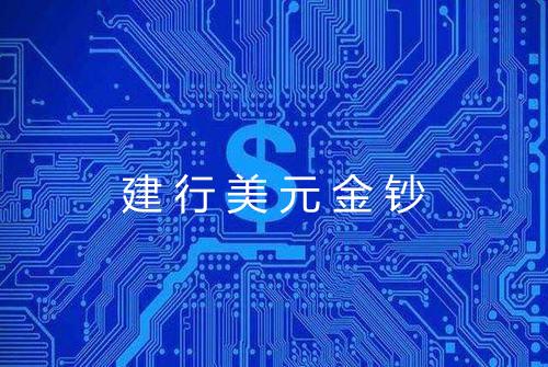 建行美元金钞