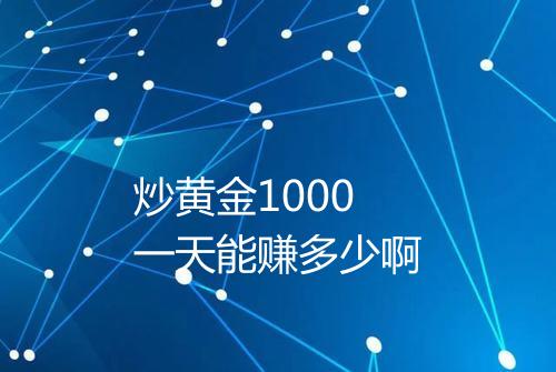 炒黄金1000一天能赚多少啊