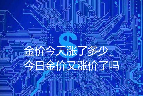 金价今天涨了多少_今日金价又涨价了吗
