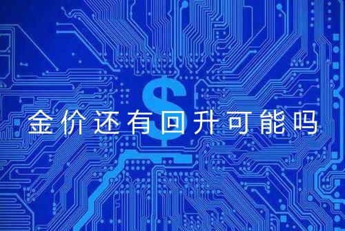 金价还有回升可能吗