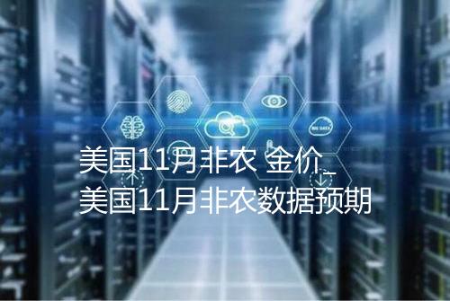 美国11月非农 金价_美国11月非农数据预期
