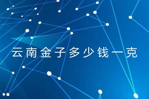 云南金子多少钱一克