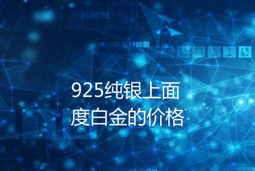 925纯银上面度白金的价格