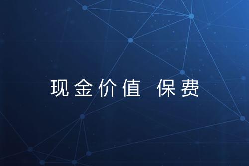 现金价值 保费