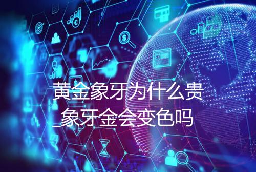 黄金象牙为什么贵_象牙金会变色吗