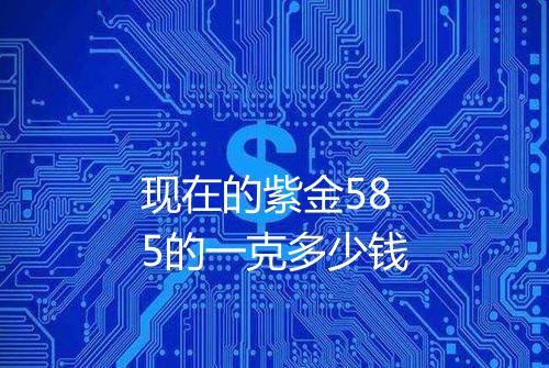 现在的紫金585的一克多少钱