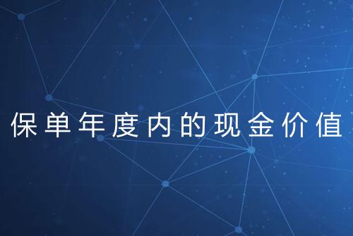 保单年度内的现金价值