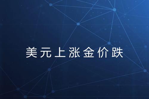 美元上涨金价跌