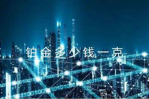 铂金多少钱一克