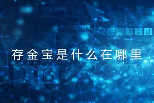 存金宝是什么在哪里