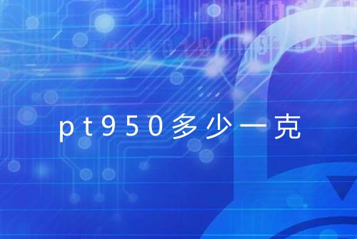 pt950多少一克