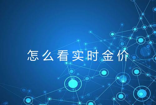 怎么看实时金价