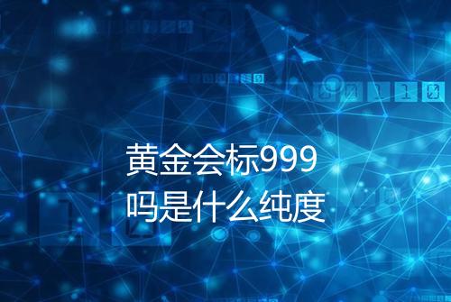 黄金会标999吗是什么纯度