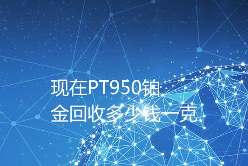 现在PT950铂金回收多少钱一克