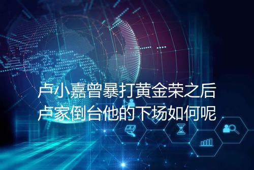 卢小嘉曾暴打黄金荣之后卢家倒台他的下场如何呢