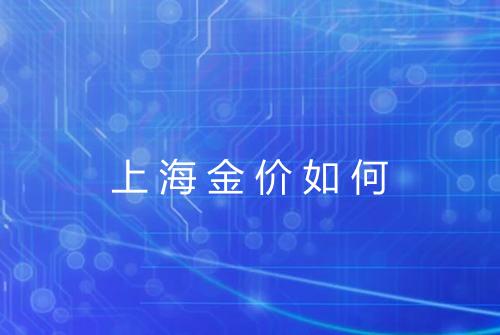 上海金价如何